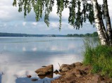 Полуостров 50 Га в живописном месте на р. Ёлнать в Ивановской обл. / Нижний Новгород
